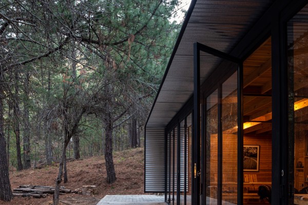 galeriaareacompartida50