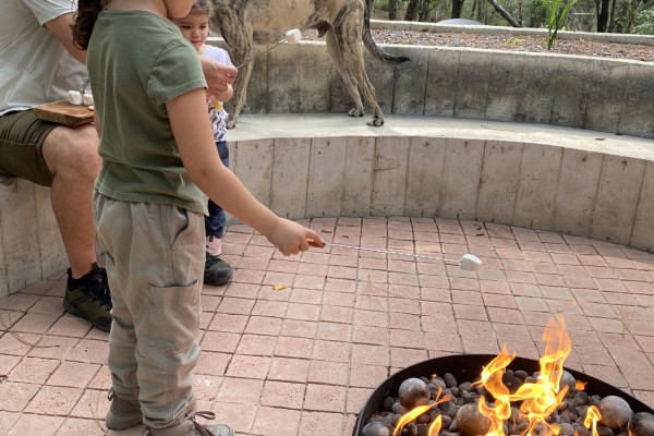 galeriaareacompartida59