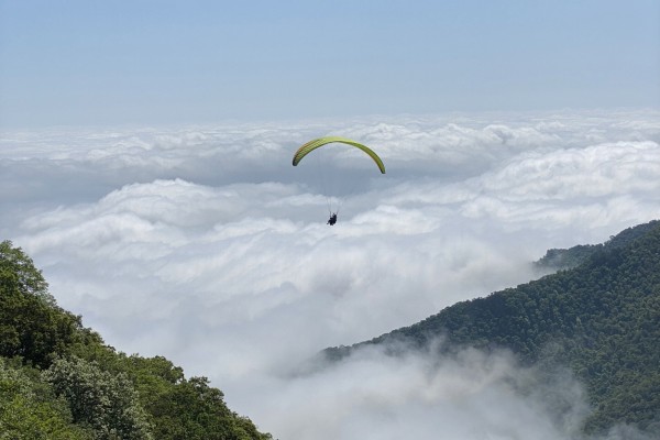 galeriaexperiencias81