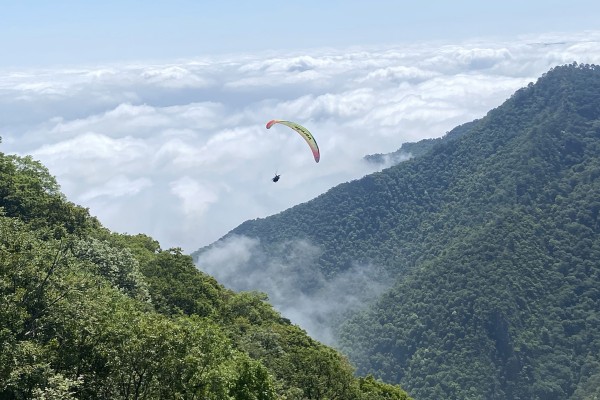 galeriaexperienecias102